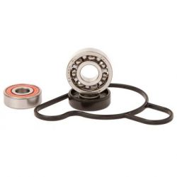 Water Pump Bearing Kit-SX/TC/MC50/65