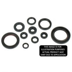 Engine Oil Seal Kit-KTM/HSQ 250/300