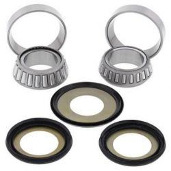 Steering Bearing Kit22-1001