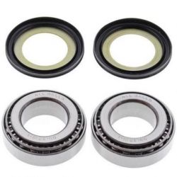 Steering Bearing Kit22-1003