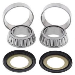 Steering Bearing Kit22-1006