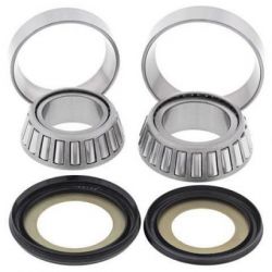 Steering Bearing Kit22-1009