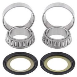 Steering Bearing Kit22-1010