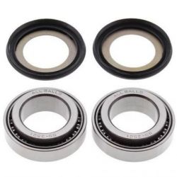 Steering Bearing Kit22-1013