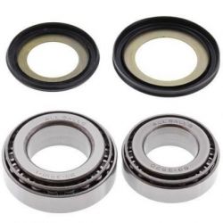 Steering Bearing Kit22-1020