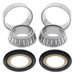 Steering Bearing Kit22-1021