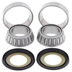 Steering Bearing Kit22-1022