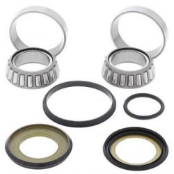 Steering Bearing Kit22-1026