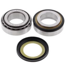 Steering Bearing Kit22-1055