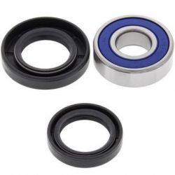 Lower Stem Bearing Kit25-1515