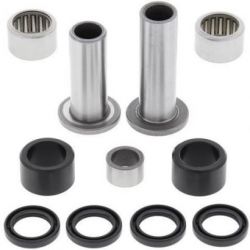 Swing Arm Bearing Kit