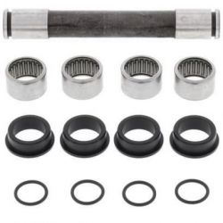 Swing Arm Bearing Kit