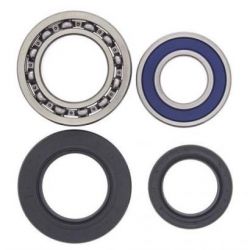 Wheel Bearing Kit-Rear