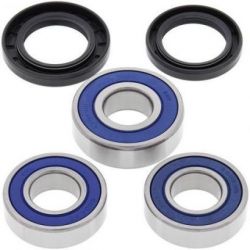 Wheel Bearing Kit-RearMRSU001