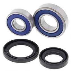 Wheel Bearing Kit-FrontAFHO003