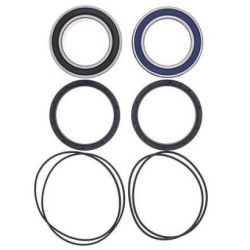 Wheel Bearing Kit-RearARHO005