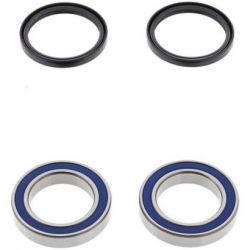 Wheel Bearing Kit-Rear25-1320