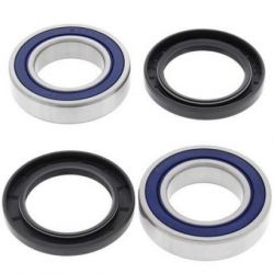 Wheel Bearing Kit-Rear25-1313