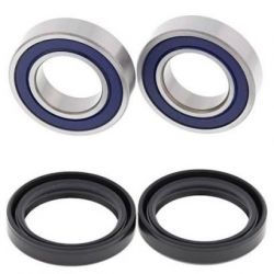 Stainless Wheel Bearing Kit-Front25-1363