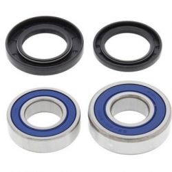 Wheel Bearing Kit-Rear25-1252