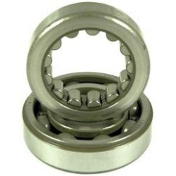 NTN Roller Bearing-CRF450R