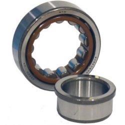 FAG Roller Bearing