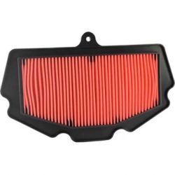 Champion Air Filter-Ninja 400/Z400