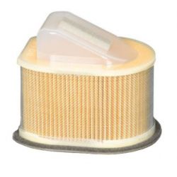 Champion Air Filter-Z750/Z800/Z1000