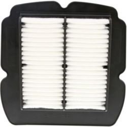 Champion Air Filter-SV650/SV1000