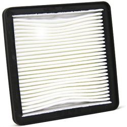 Champion Crankcase Air Filter-N-MAX 300