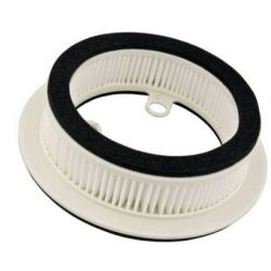 Champion Air Filter-XP-500 TMAX 01-11