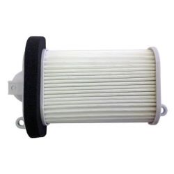 Champion Air Filter-XP-500 TMAX 08-11