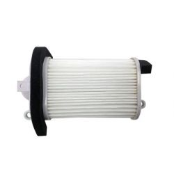 Champion Air Filter-XP-530 TMAX 12-16