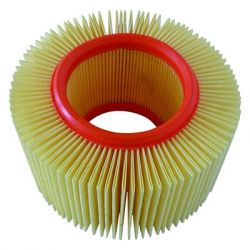 Champion Air Filter-BMW R850/1100/1150R/GS