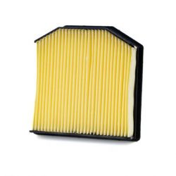 Champion Air Filter-Tiger 900/GT/Pro/Rally/Pro 2020 