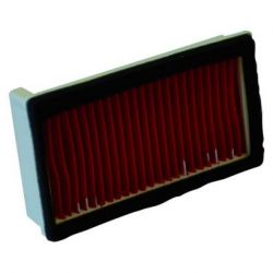 Champion Air Filter-XT600/XT660