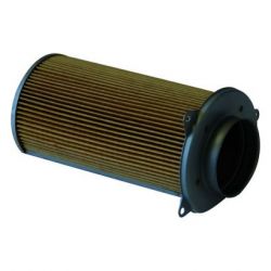 Champion Air Filter-VS800