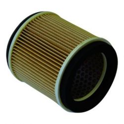 Champion Air Filter-ZR1100/ZRX1200