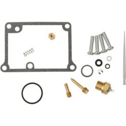 Carburetor Kit-KX65 02-20