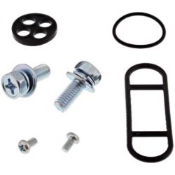 Fuel Petcock Repair Kit-KDX200/KDX220