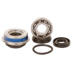 Water Pump Bearing Kit-CRF450X/TRX450