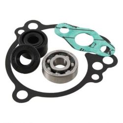 Water Pump Bearing Kit-KX65 06-21