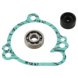 Water Pump Bearing Kit-KX80/KX85/KX100