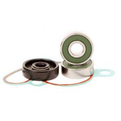 Water Pump Bearing Kit-SX85/TC85