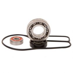 Water Pump Bearing Kit-KTM250/300