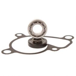 Water Pump Bearing Kit-RM250 03-08