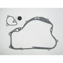 Water Pump Gasket Set-RM125 04-09