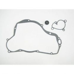 Water Pump Gasket Set-RM250 03-09