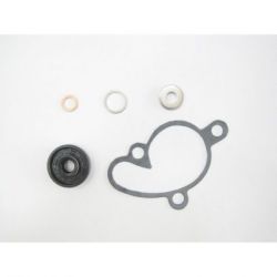 Water Pump Gasket Set-SX85 03-17/TC85 14-17