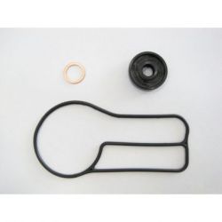 Water Pump Gasket Set-KTM/HSQ250/300